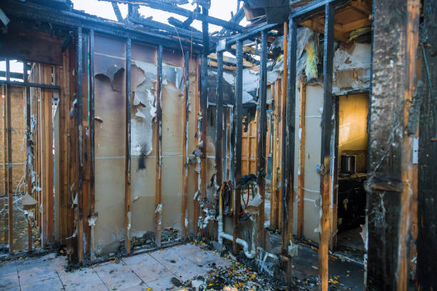 Professional Soot Cleanup technician working in Morrisonville, NY